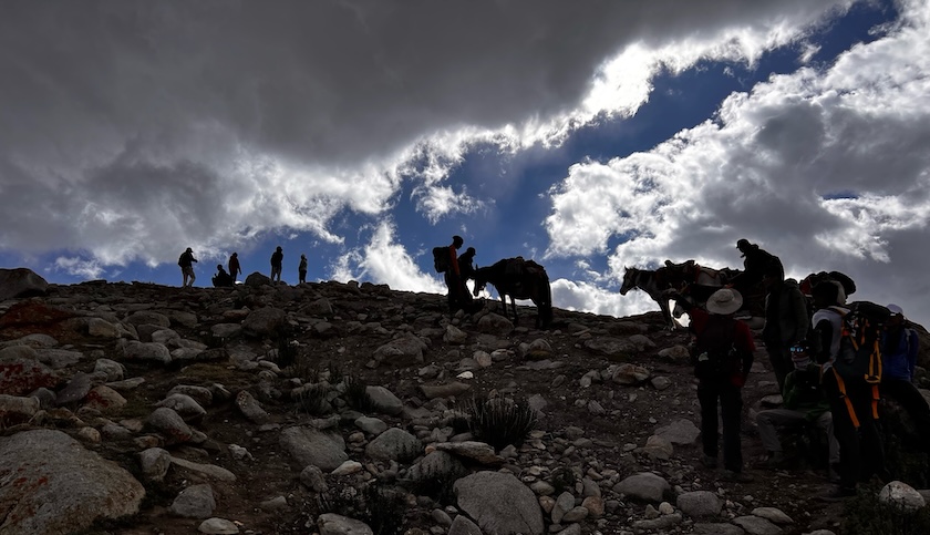 learning-in-nature-how-outdoor-education-shapes-resilient-children